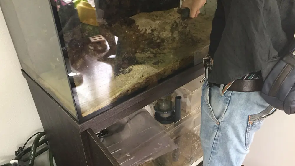 水槽撤去サービス